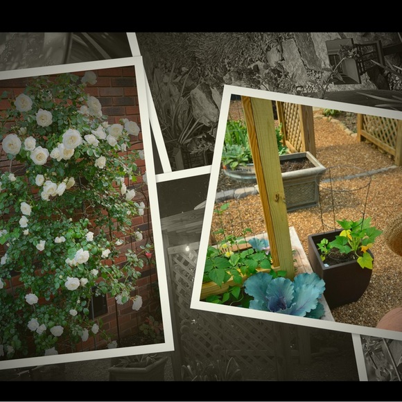 Meet your Posher, Kelli - Picture 2 of 9